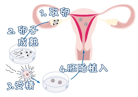 陈副主任医师
